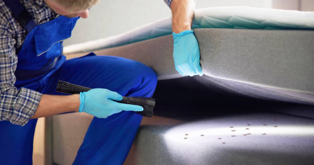 Best Local Pest Control Services  in Brewster, NY