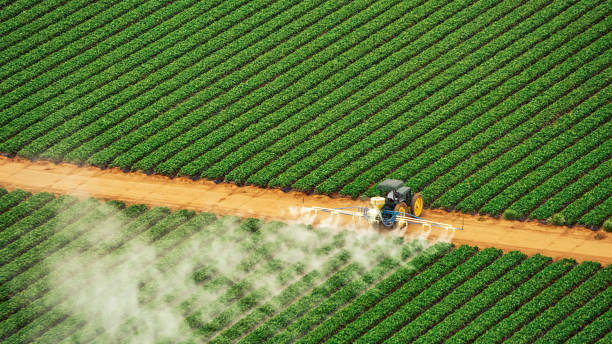 Best Pest Control Treatment  in Brewster, NY