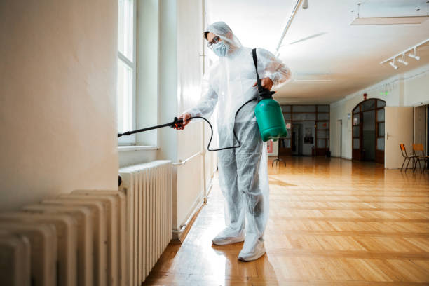 Flea Control Services in Brewster, NY